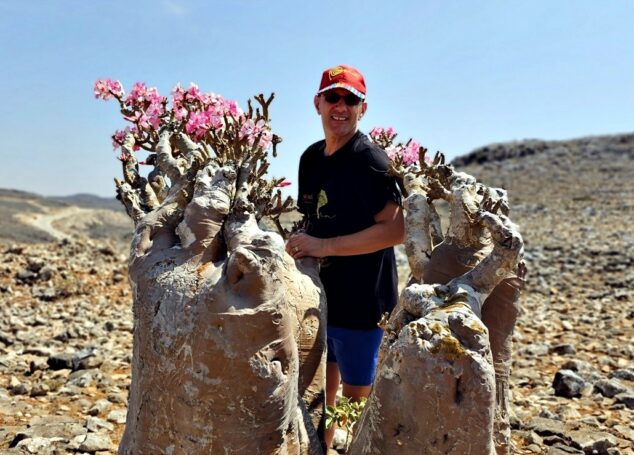 Socotra-Insula unde arborii sângerează: Misterul Dragon Blood Tree (III)