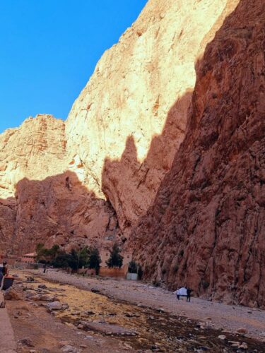 20211116 140111