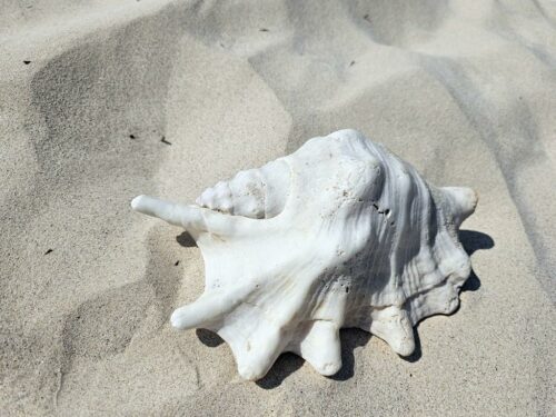 20230313 100317 (1) (1)