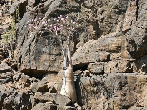 20230313 142639 (1) (1)