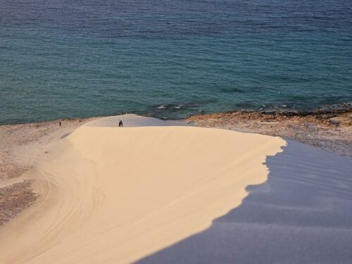 20230314 164600 (1) (1) (1)