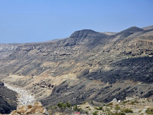 20230315 103204(0) (1)