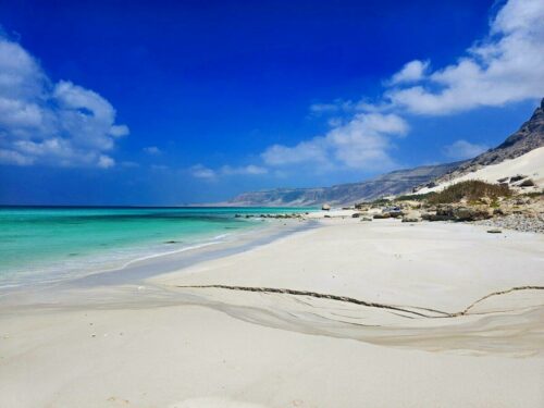 20230316 133603 (1) (1)