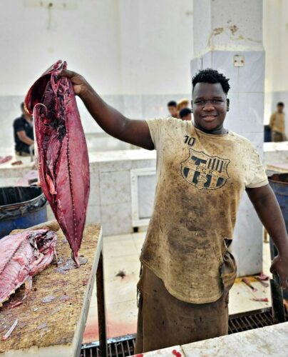 20230317 100636 (1) (1) (1)