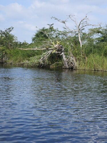 20240110 140028 - Copy (1)