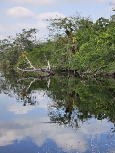 20240110 140457 - Copy