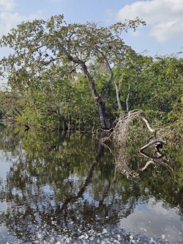 20240110 140729 - Copy (1)