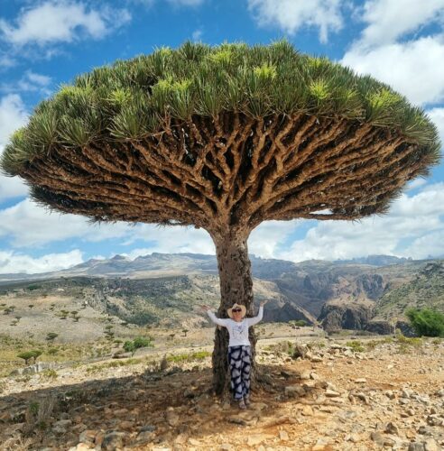 20240221 100700 (1) (1)