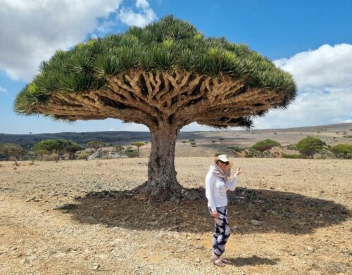 20240221 110724 (1) (1)