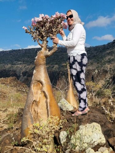 20240221 150233 (1) (1)