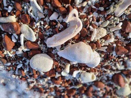 20240224 161324 (1) (1)