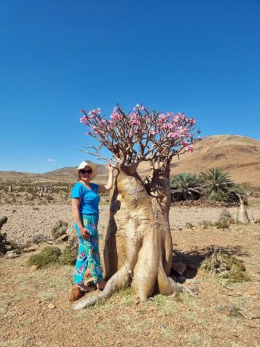 20240225 135753 (1) (1)