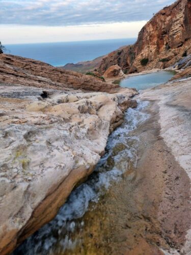 20240226 165912 (1) (1) (1)