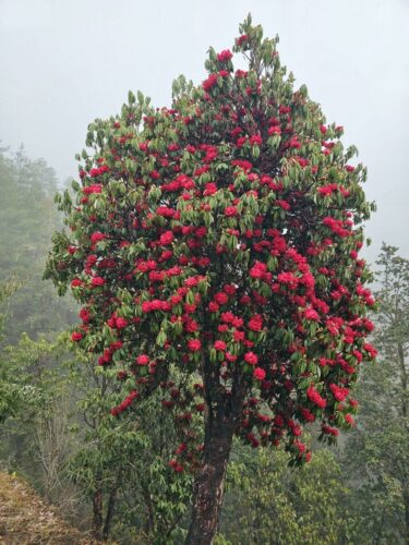 20240326 093033 - Copy