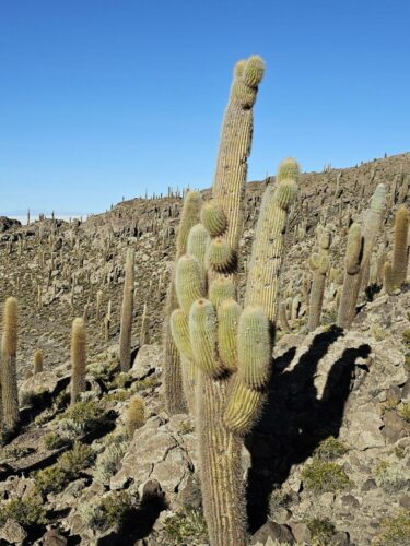 20240507 155311 - Copy