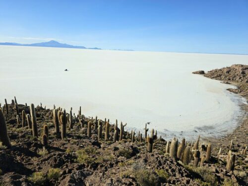 20240507 155721 - Copy