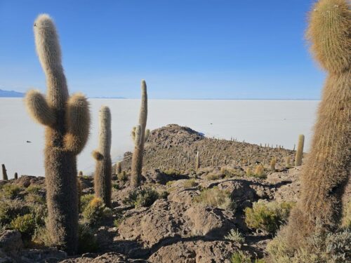 20240507 161553 - Copy