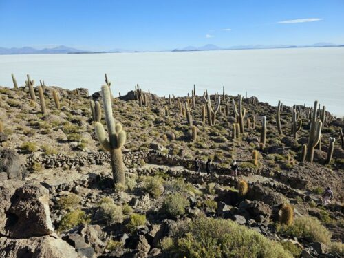 20240507 161905(0) - Copy (1) (1)