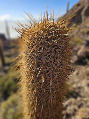 20240507 162139 - Copy