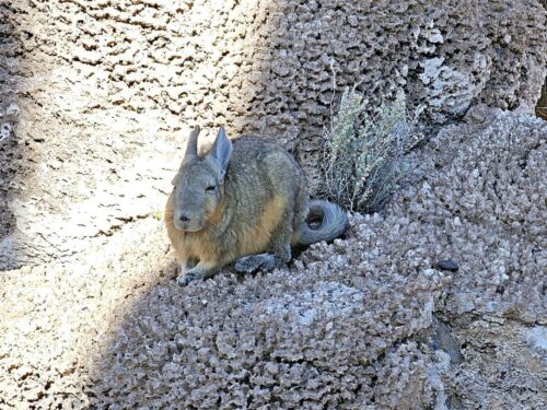 20240507 163000 - Copy