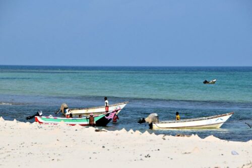 DSC 0006 (1) (1) (1)