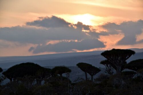 DSC 0006 (1) (1) (1) (1)