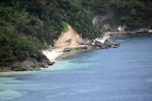 DSC 0036 (1) (1) (1)