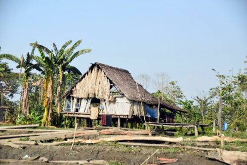 DSC 0044 (1)