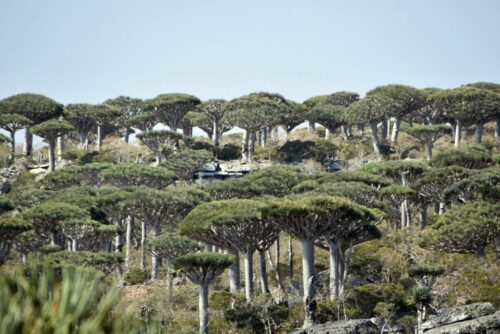 DSC 0058 (1) (1) (1)