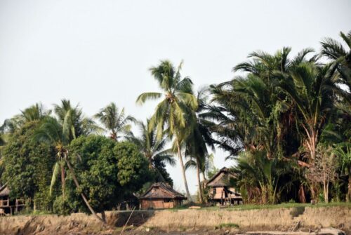 DSC 0061 (1)