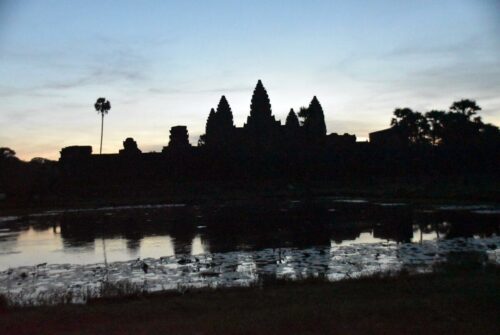 DSC 0068 (1) (1)