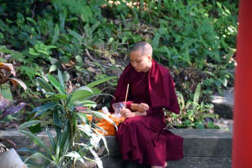 DSC 0070 (1) (1)