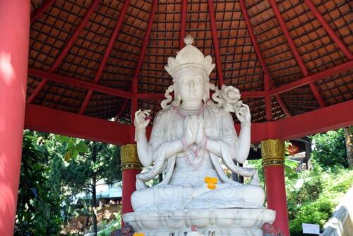 DSC 0072 (1) (1)