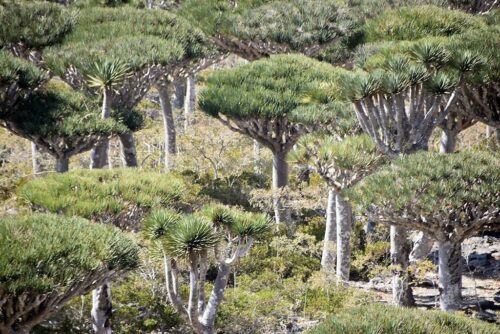 DSC 0076 (1) (1) (1)