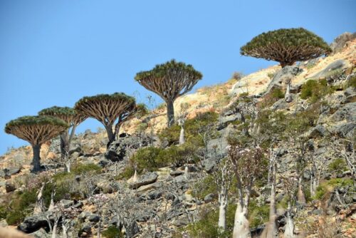 DSC 0104 (1) (1) (1)