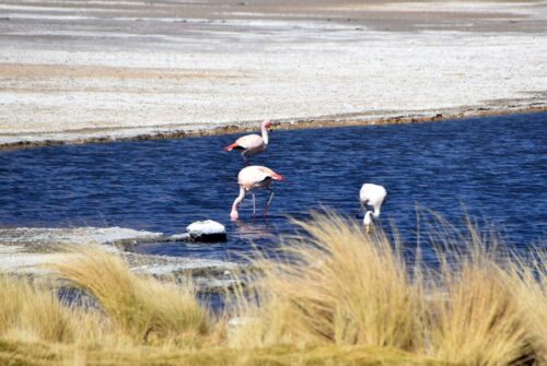 DSC 0119 (1) (1) (1) (1)