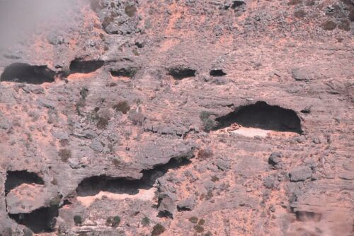 DSC 0135 (1) (1) (1)