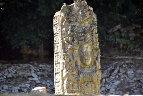 DSC 0138 (1) (1)