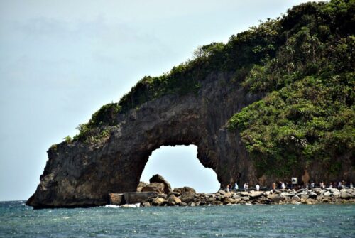 DSC 0141 (1) (1) (1)