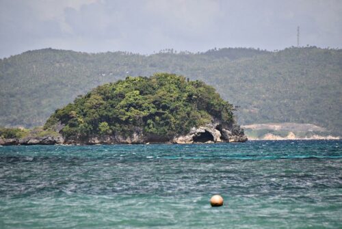 DSC 0153 (1) (1)