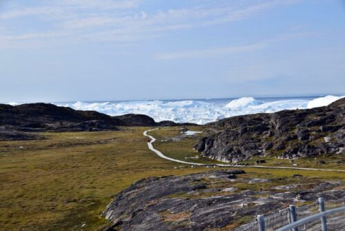 DSC 0156 (1) (1) (1) (1)