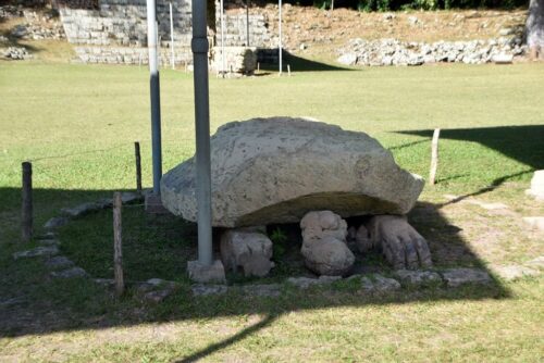 DSC 0163 (1) (1) (1)