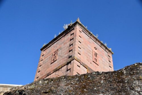DSC 0165 (1) (1)