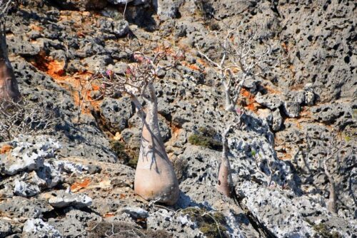 DSC 0167 (1) (1) (1) (1)