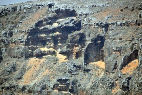 DSC 0184 (1) (1) (1)