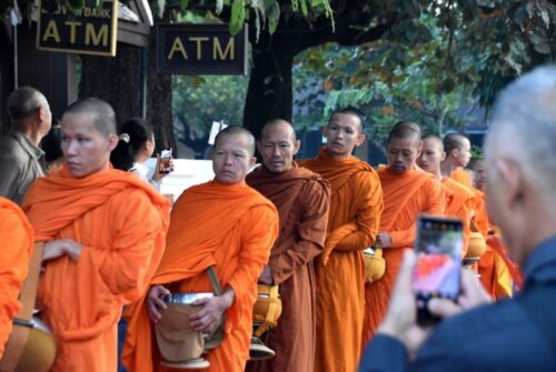 DSC 0185 (1) (1) (1) (1) (1)