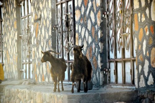 DSC 0191 (1) (1) (1) (1)