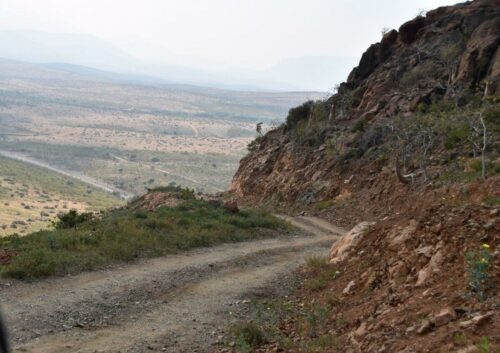 DSC 0195 (1) (1) (1) (1) (1)