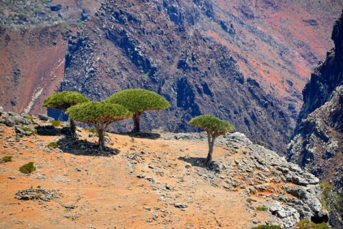 DSC 0198 (1) (1) (1) (1)