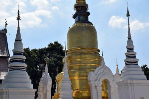 DSC 0204 (1) (1)